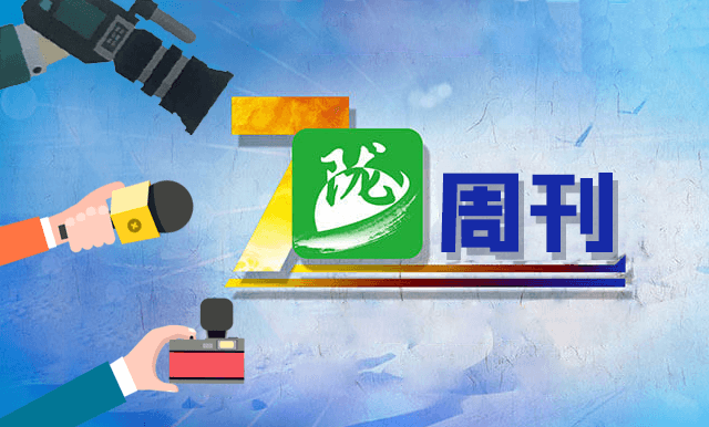 陇周刊