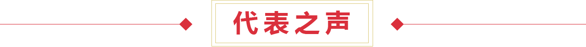 代表之声